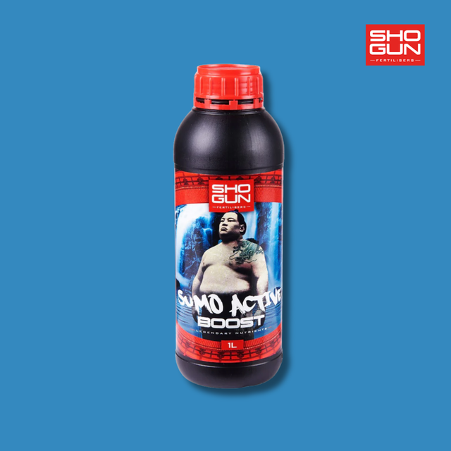 Shogun - Sumo Active Boost