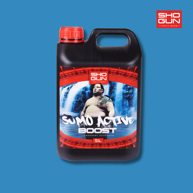 Shogun - Sumo Active Boost