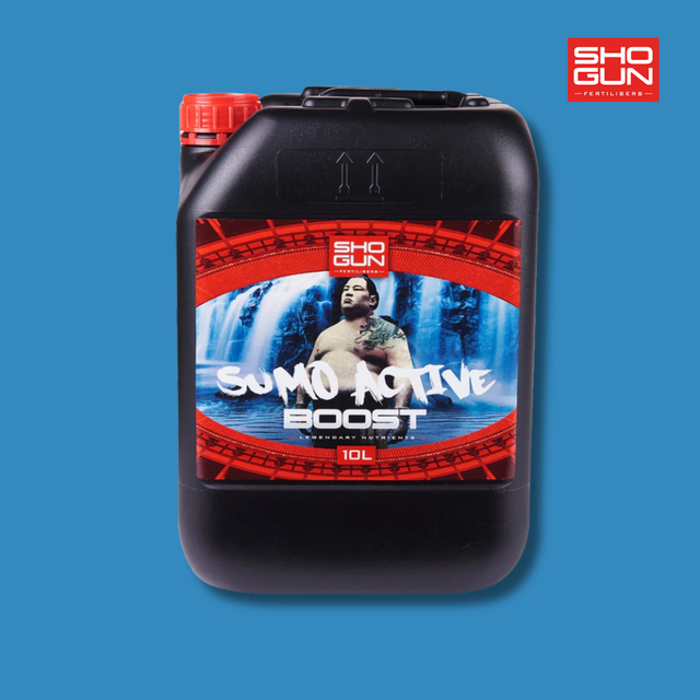 Shogun - Sumo Active Boost
