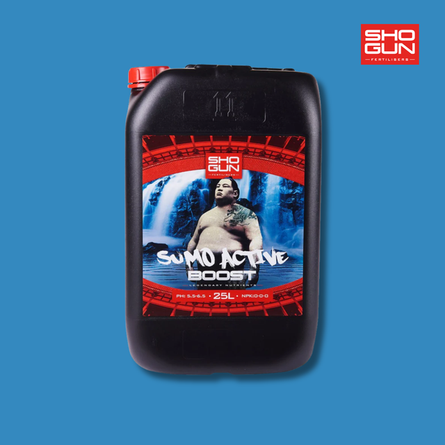 Shogun - Sumo Active Boost