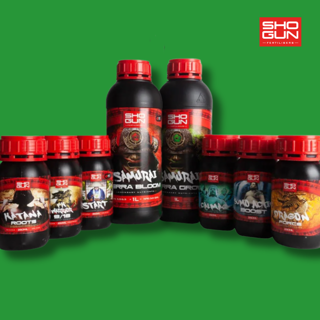 Shogun - Terra Multipack