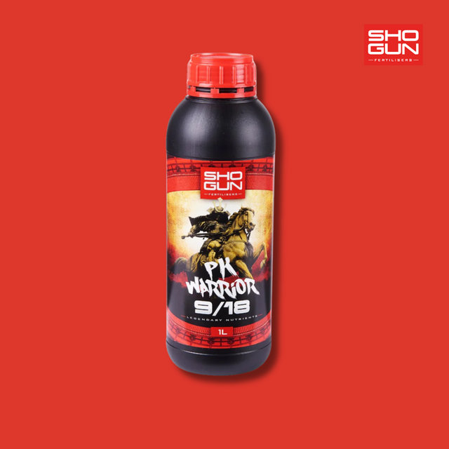 Shogun - PK Warrior 9/18