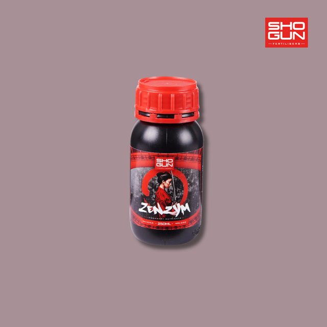Shogun - Zenzym