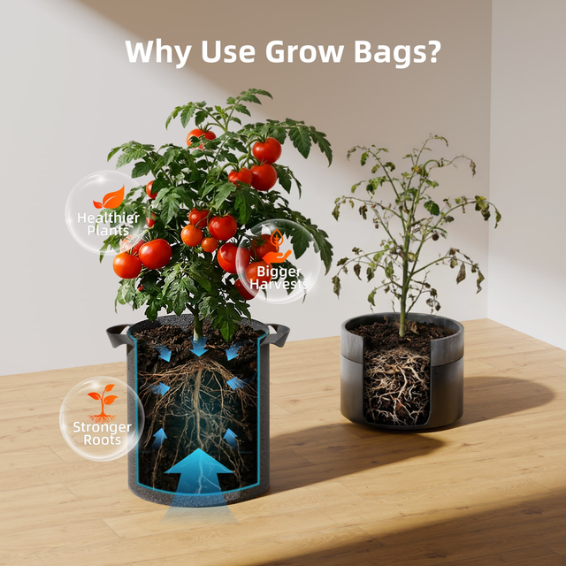 Spider Farmer Root Boosting Grow Bag 38 Litre (5 Pack)