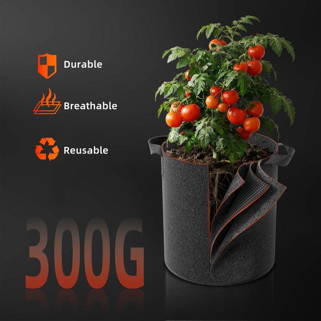 Spider Farmer Root Boosting Grow Bag 38 Litre (5 Pack)