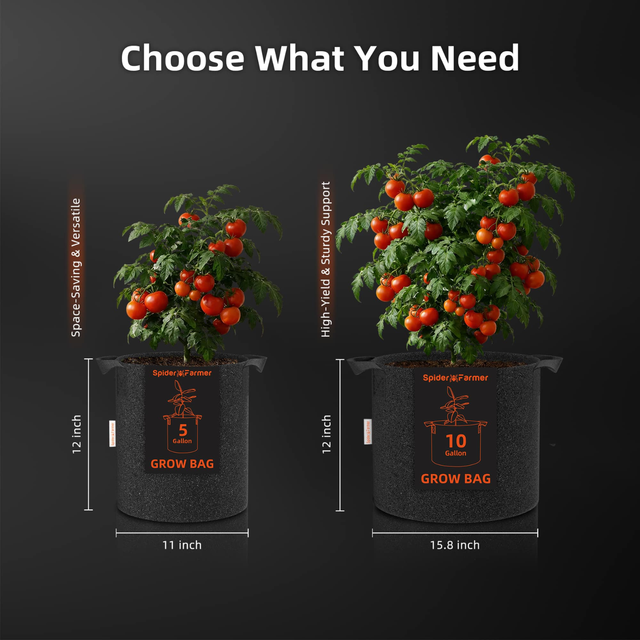 Spider Farmer Root Boosting Grow Bag 38 Litre (5 Pack)