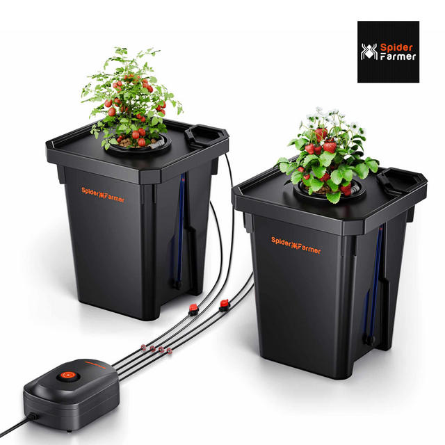Spider Farmer DWC Hydroponics -  2 Plant System