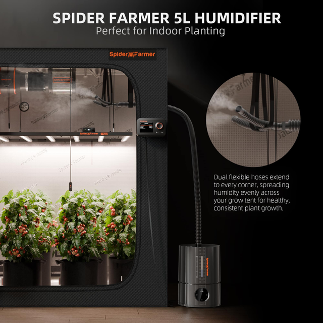 Spider Farmer 5L Cool Mist Humidifier