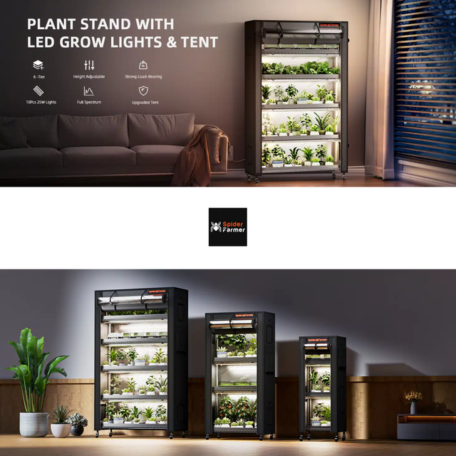 Spider Farmer 5 Shelf Indoor Garden for Microgreens & Salads