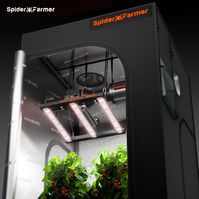 Spider Farmer indoor gardening system with plants and lights on a dark background