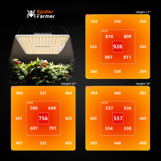Spider Farmer SF1000 LED Grow Light PPFD Map