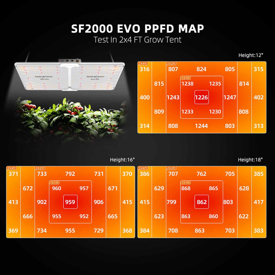 Spider Farmer SF2000 EVO LED Grow Light PPFD Map