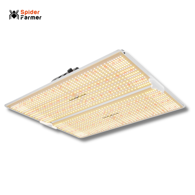 A Spider Farmer LED grow light panel with a white frame and a dense grid of warm yellow LED lights, shown at an angle on a white background with the Spider Farmer logo in the top-left corner.