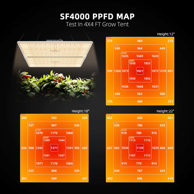 SF4000 PPFD map diagram showing light intensity measurements for a 4x4 FT grow tent, with three orange gradient heat maps labeled for heights of 12 inches, 18 inches, and 22 inches, plus a photo of a grow light above leafy green plants on a black background.