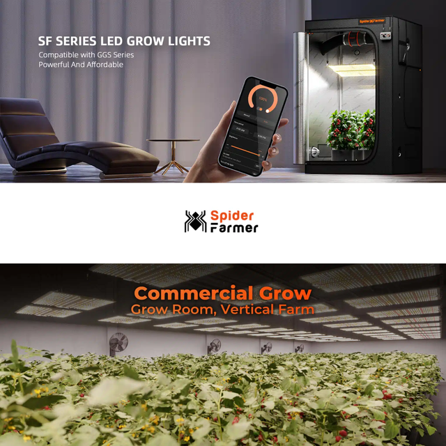A promotional composite for a Spider Farmer SF Series LED grow light. The top panel shows a hand holding a smartphone app screen next to a black grow light cabinet with plants inside in a modern room.