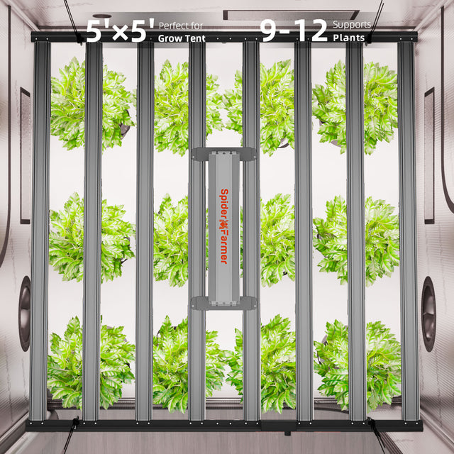 Spider Farmer G1000w LED Grow Light 1000w For Grow Tents