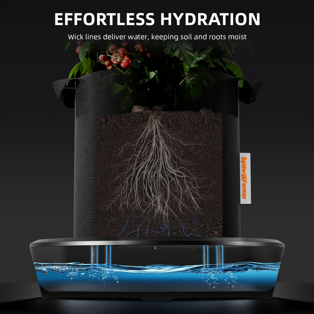 Spider Farmer Self Watering System -  2 Plant Set Up