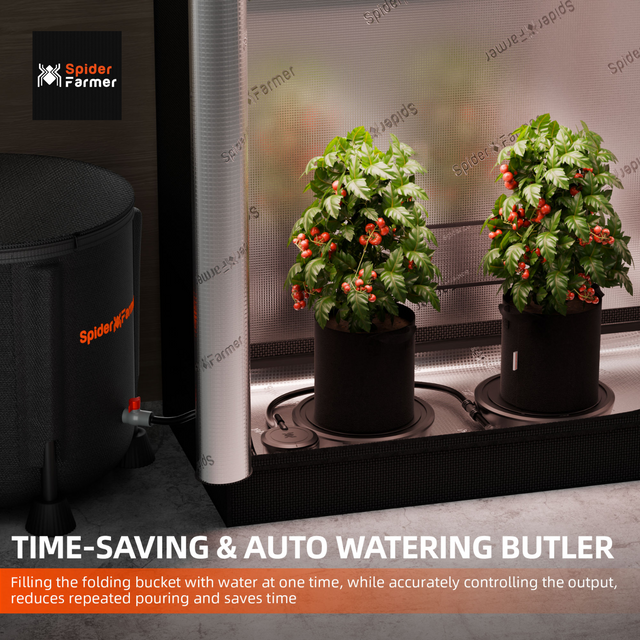 Spider Farmer Self Watering System -  2 Plant Set Up