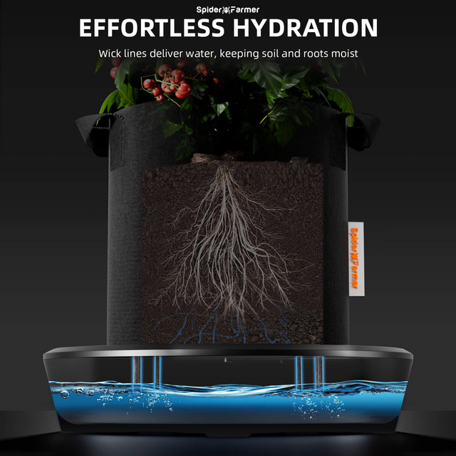 Spider Farmer Self Watering System -  4 Plant Set Up