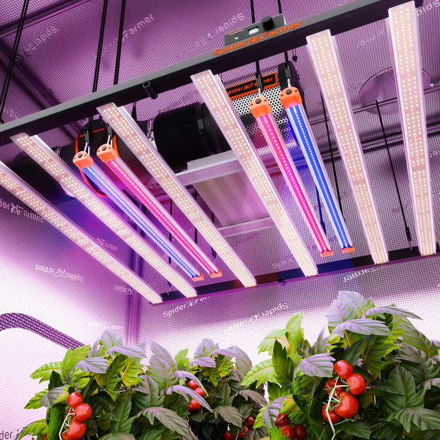 Spider Farmer UV30 & IR16 Flavour Set (UV & IR)