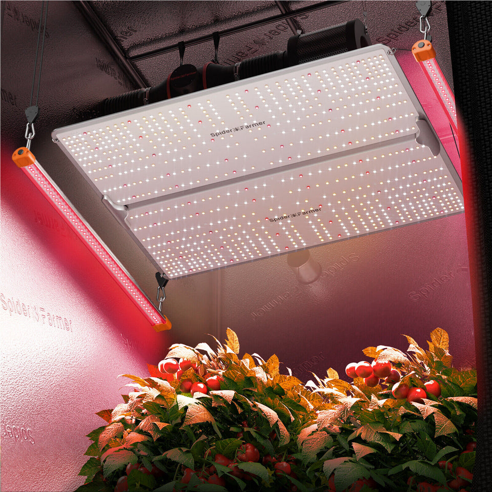 Spider Farmer IR16 IR Supplemental 730nm LED Grow Light SF4000