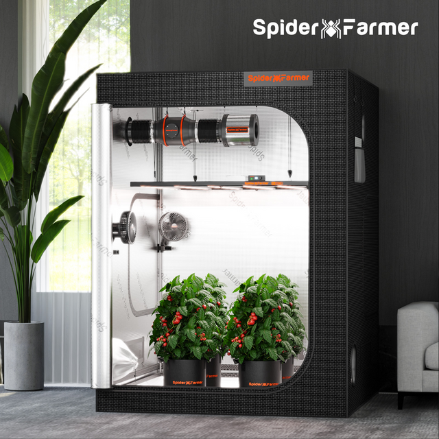 Spider Farmer 5 x 5 Grow Tent