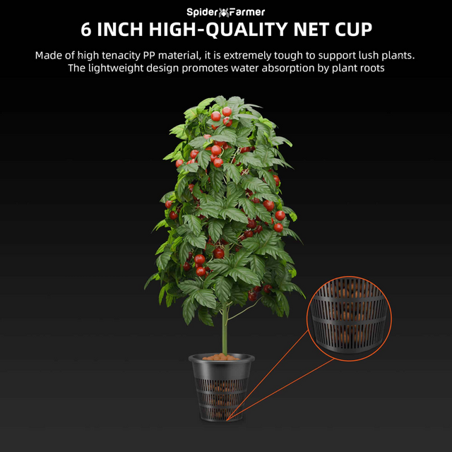 Spider Farmer DWC Hydroponics -  4 Plant System