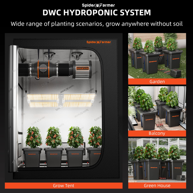 Spider Farmer DWC Hydroponics -  4 Plant System