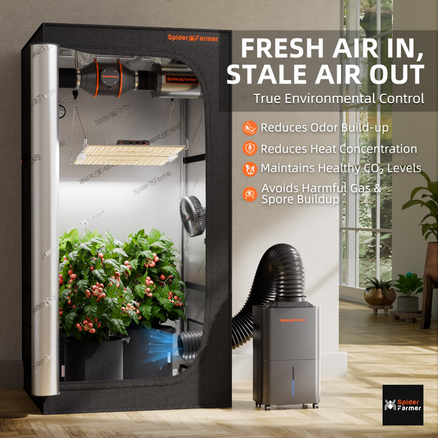 6L Cool Mist Humidifier For Plants Umidificatore Spider Farmer 16L Nebbia Fredda - Per Coltivazione Indoor, Serre E Ambienti Domestici Deumidificatore Ambiente - Foto 4