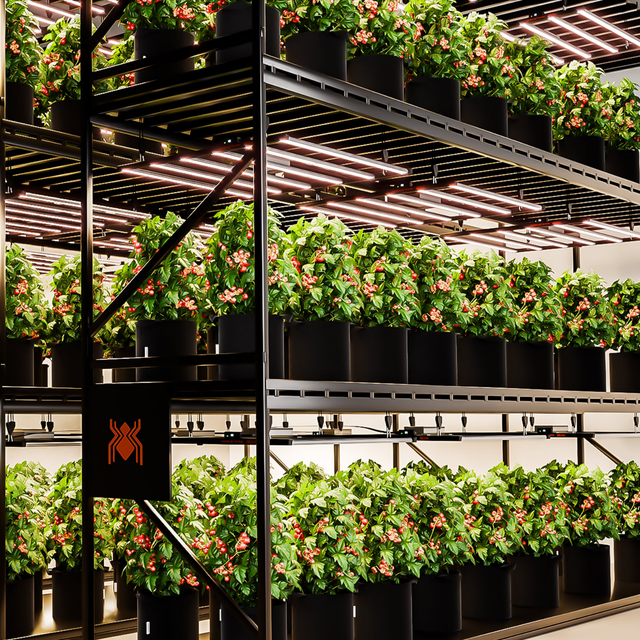 Spider Farmer G8600 SMART LED Grow Light 800w