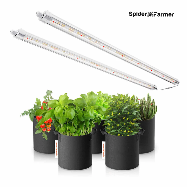 Spider Farmer Glow80 LED Grow Light 