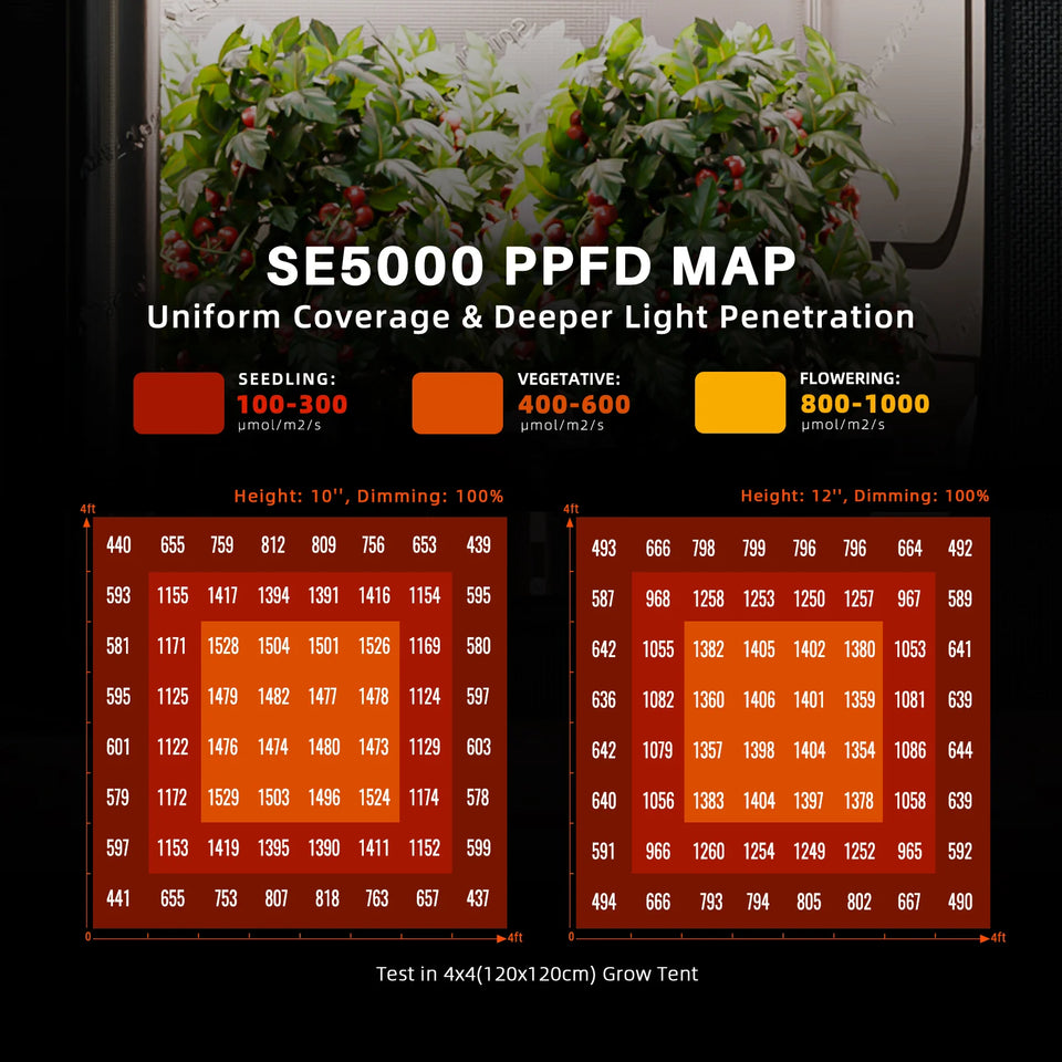 Spider Farmer SE5000 EVO LED Grow Light 480w PPFD Map