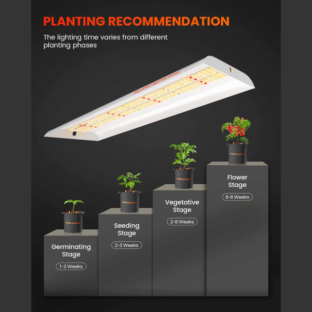 Spider Farmer SF300 LED Grow Light