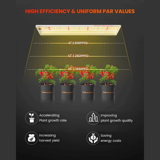 Spider Farmer SF300 LED Grow Light