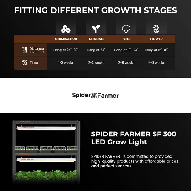 Spider Farmer SF300 LED Grow Light