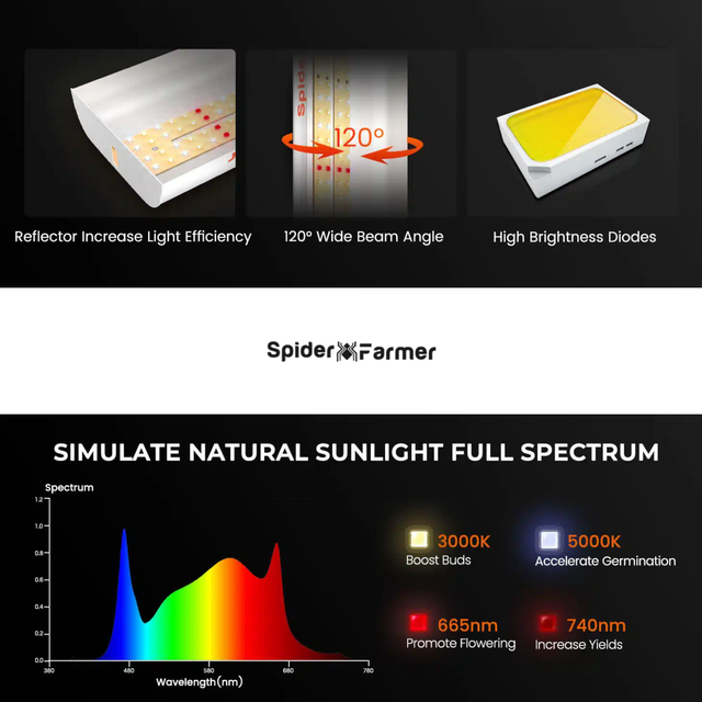 Spider Farmer SF600 LED Grow Light