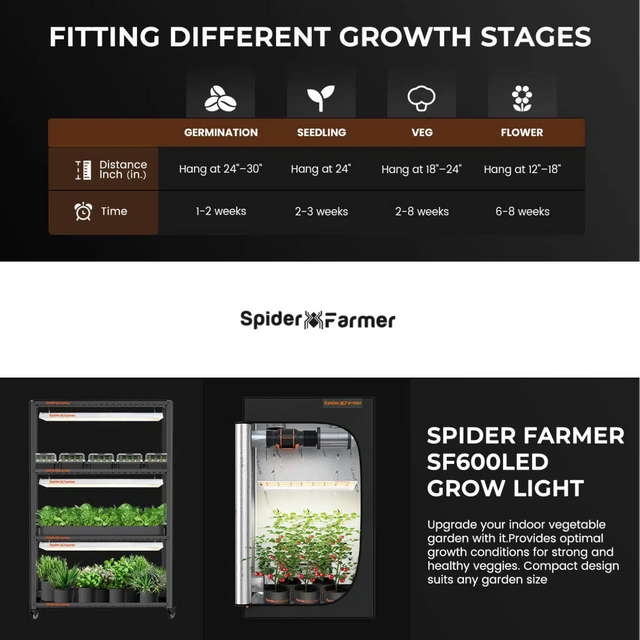 Spider Farmer SF600 LED Grow Light