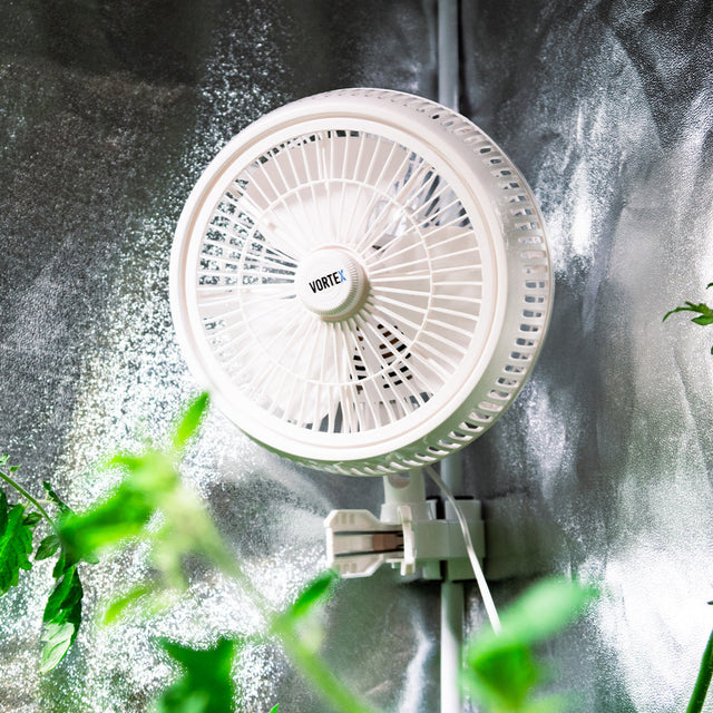 Vortex 10 inch clip fan mounted inside a grow tent