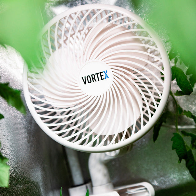 Vortex 8 inch EC clip fan mounted inside a grow tent
