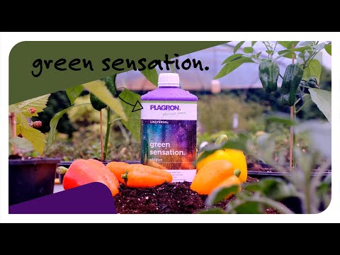 Plagron - Green Sensation