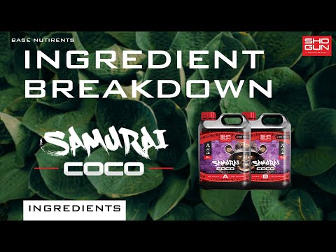 Shogun - Samurai Coco A & B