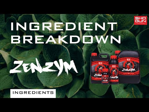 Shogun - Zenzym