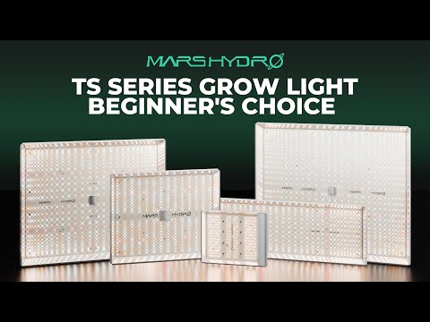 Mars Hydro TSW2000 LED Grow Light – ledgrowstore.co.uk