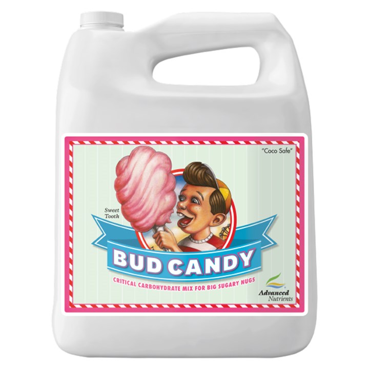 Bud Candy Food