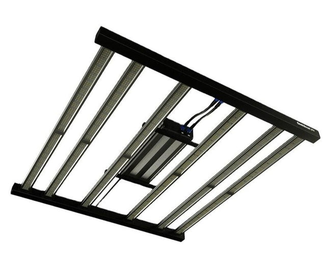 The Best LED Grow Light