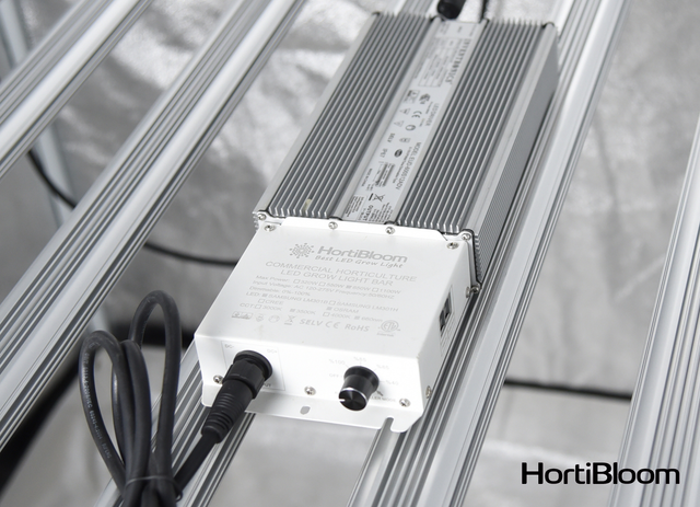 LED Grow Light - Driver Hortibloom 