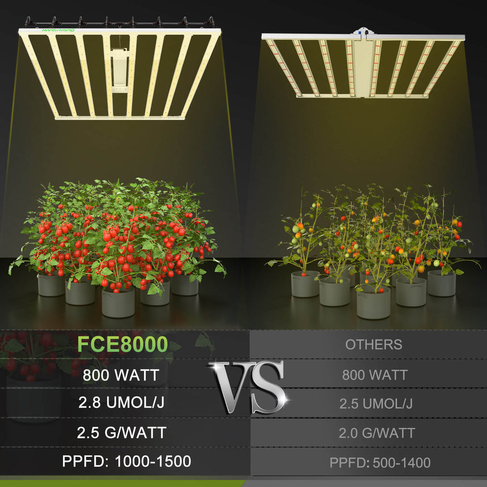 Mars Hydro FC-E8000 LED Grow Light 800w vs Unbranded LED Grow Lights