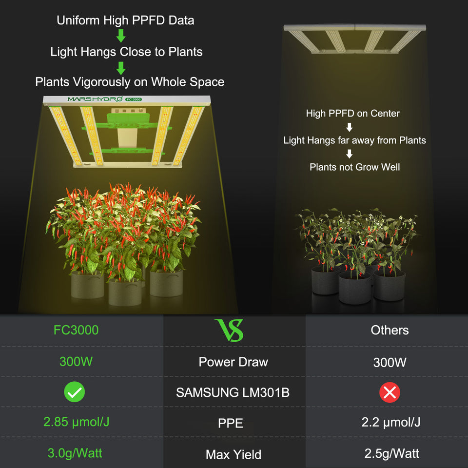 Mars Hydro FC3000 LED Grow Light vs Unbranded LED Grow Lights