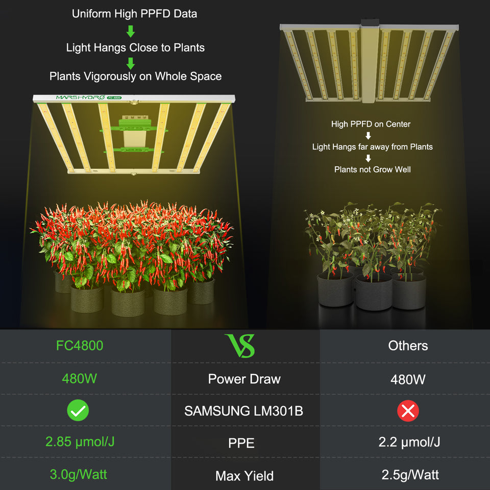 Mars Hydro FC4800 LED Grow Light vs Unbranded Grow Lights