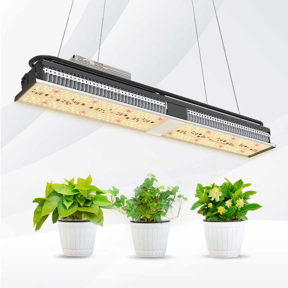 Best LED grow light 